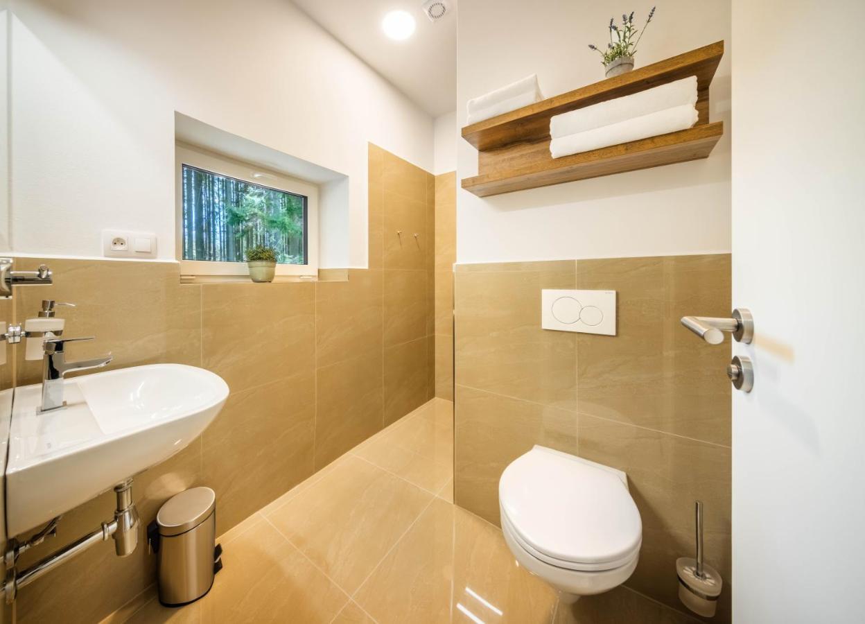 Apartmany Panelka Costa Plana Lipno Černá v Pošumaví Extérieur photo